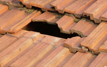roof repair Daggons, Dorset