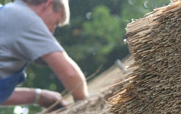 professional Daggons thatchers