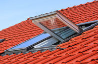 Daggons roof window