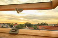 rated Daggons roof window companies